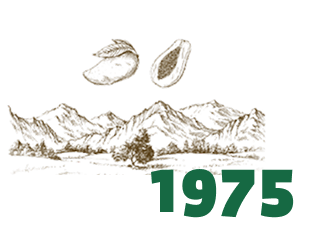 1975