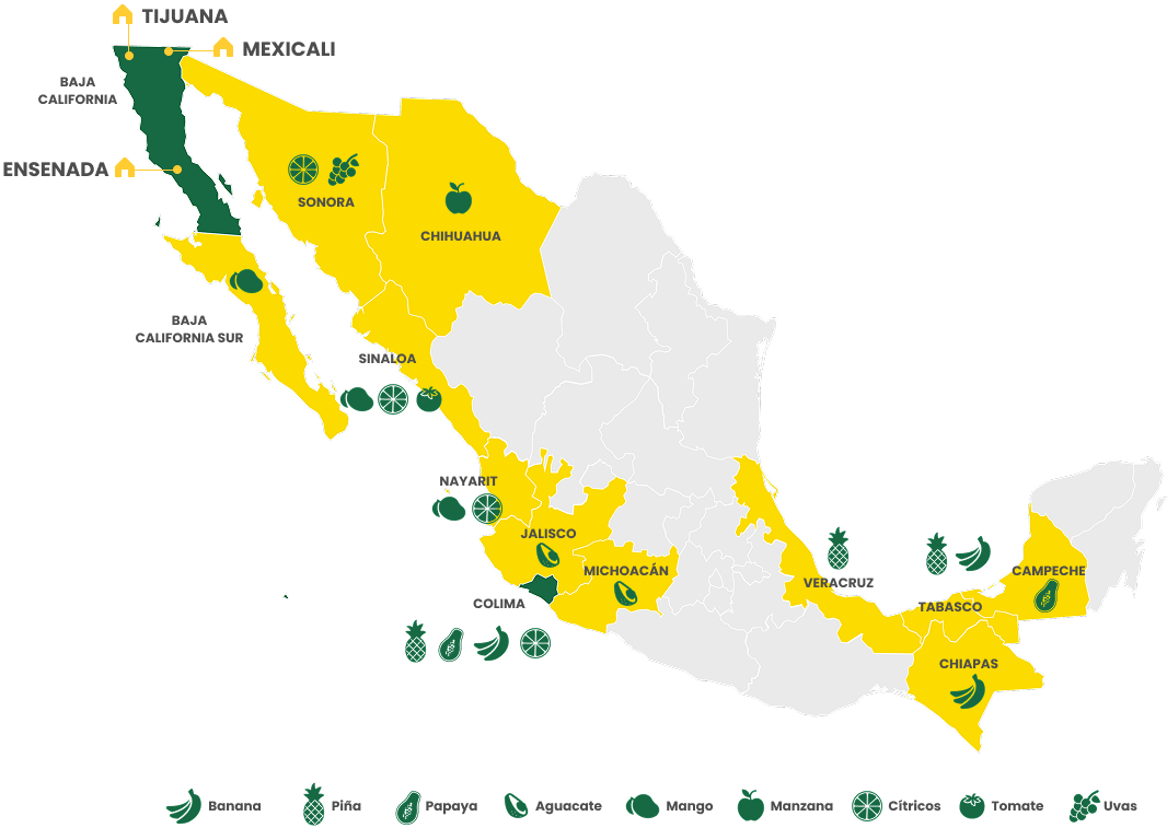 Cobertura Coliman en México